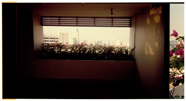 Melanie Jayne Taylor